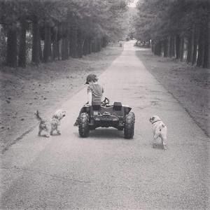 Meet your Posher, Tracy